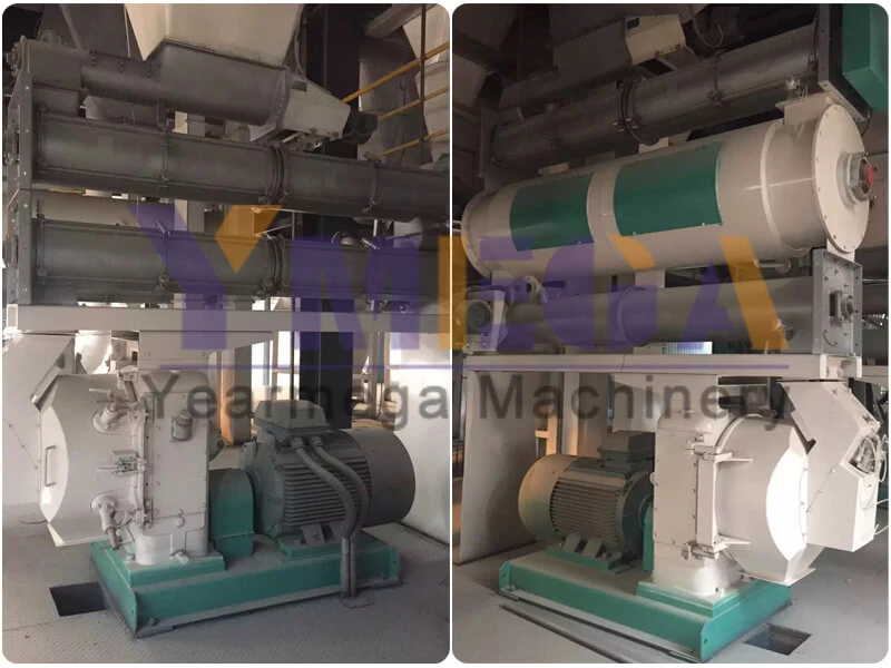 Full-Automatic Feed Line 1t/H 2t/H 5t/H 10t/H 20t/H Animal Feed Pellet Plant