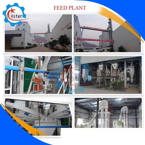 Full Automatic Cattle Livestock Poultry Cow Chicken Feed Pellet Production Plant