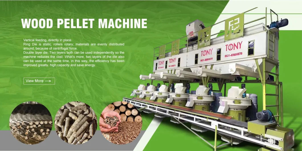 High Efficiency Biomass Fuel Wood Sawdust Straw Pellet Production Line