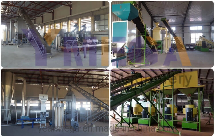 Biomass Fuel Application Wood Sawdust Pellet Production Line