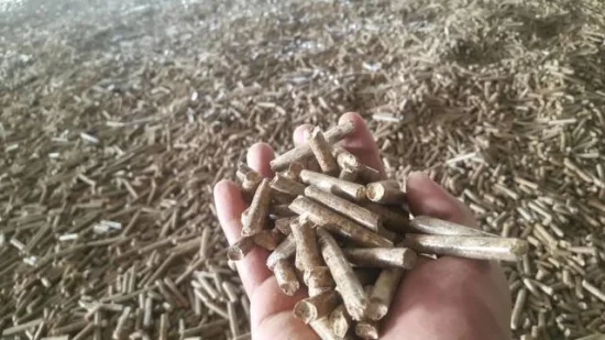 Capacidad automática de la planta de procesamiento de pellets de madera de biomasa 300 kg / hora